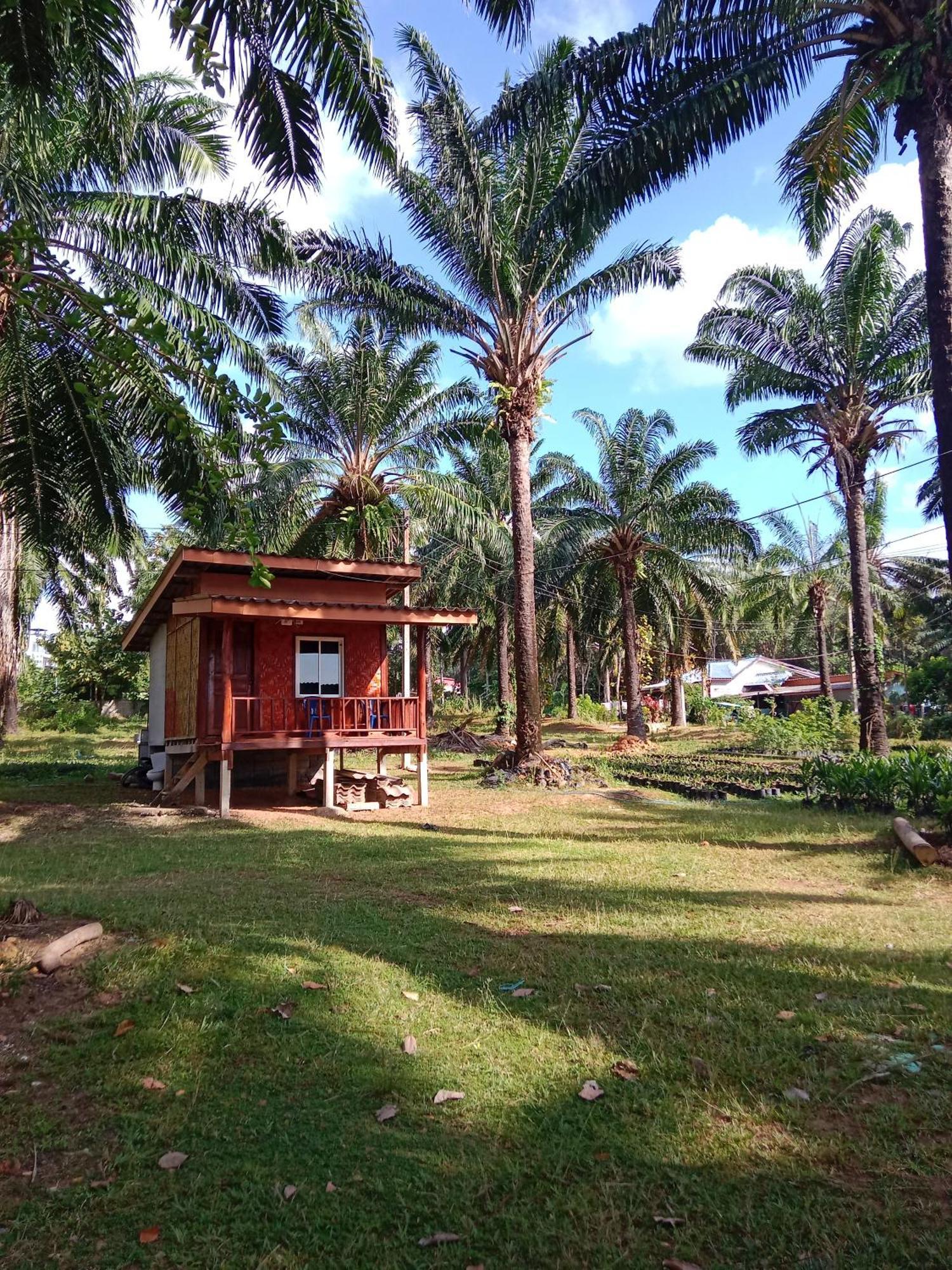 Som Palmgarden Hotel Koh Lanta Exterior photo